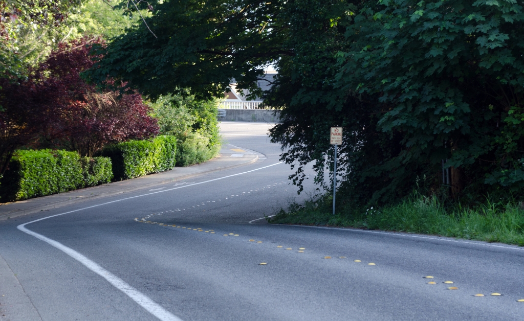 Jaguar Convertible Top Repair in Sammamish